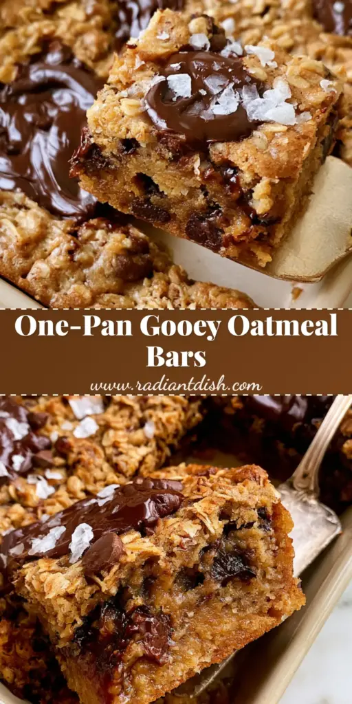 A close-up shot of thick Chocolate Chip Oatmeal Cookie Bars with toasted oats and melted dark chocolate puddles sprinkled with flaky sea salt.